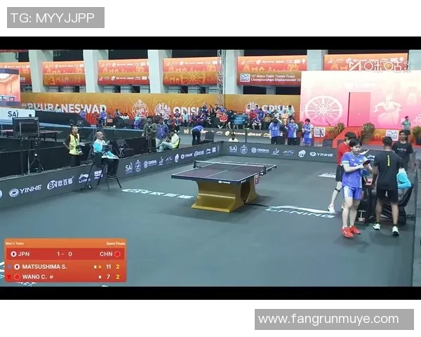 北京乒乓球队选拔赛精彩点评团队配合与个人表现的完美结合